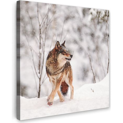 TABLEAU SUR TOILE Loup - Hiver - Neige - Nature - Animaux Tableau Chambre Adulte 90x90 cm