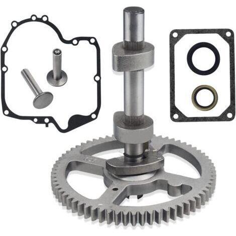 Pour Briggs Stratton 793880 Arbre à cames 793583 792681 791942 795102 Joint 697110 H465
