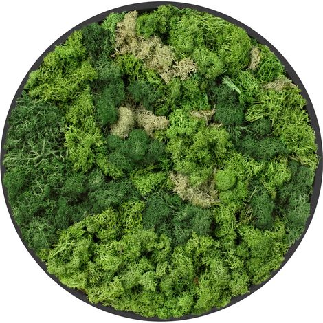 ECD Germany Moosbild Rund Ø 40 cm, Mooswand Indoor mit echtem Islandmoos, Wanddeko mit Holzrahmen, Wandbild 3D-Effekt, Natürliche Optik, Pflegefrei, Einfaches Aufhängen, Moos Deko für Haus und Büro (1/5)