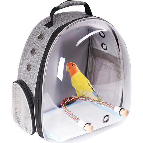 Transparent bird backpack, hard shell with perch and mat, for veterinary transport and travel (1/5)