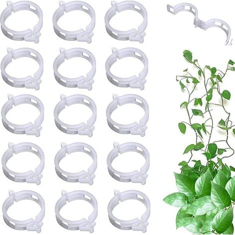 Pflanzenclips, 100 Stück 25 mm Durchmesser Schwarz Tomatenpflanzen Gemüsegarten Tomatenpflanzen anbinden Pflanzenclips Clips für Tomatenpflanzen (1/5)