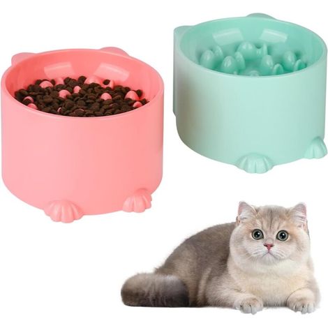 Lot de 2 gamelles pour chat - Multicolore - Convient pour l'alimentation des animaux de compagnie (1/5)