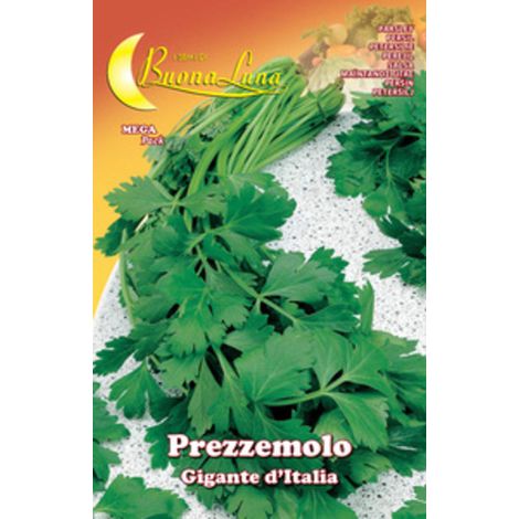 10PZ SEMI ORTO PREZZEMOLO GIGANTE (1/2)