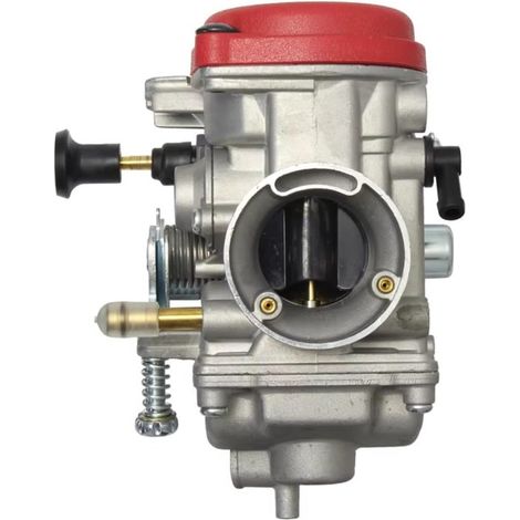 Carburatore PD30 da 30 mm – Adatto per TK MV30, ATV 250cc (1/5)