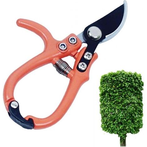Cesoia Forbici Per Potatura Punta Curva Per Fiori, Cespugli, Tagliapiante 0218