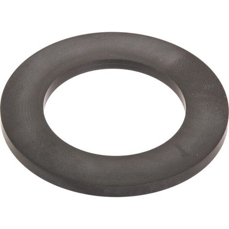 Dichtring CNH 4895296