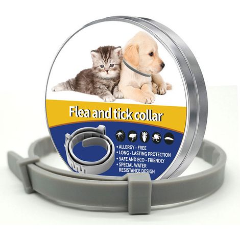 Colliers pour chats et chiens 1 pièce Colliers anti-insectes et anti-puces et anti-tiques pour chats et chiens (18 kg 38 cm pour chats et chiens, gris) Colliers anti-insectes et anti-puces (1/2)