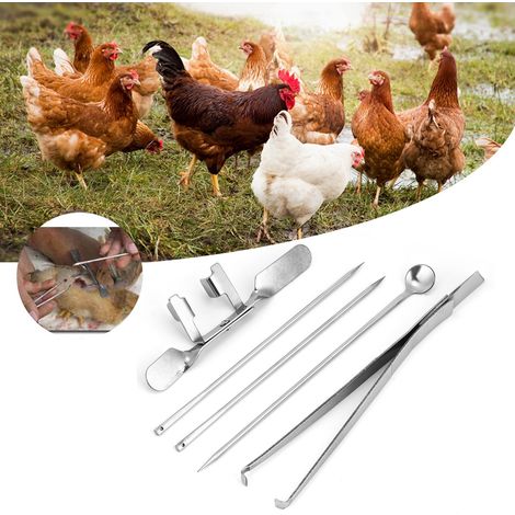 KIMISS 5-teiliges Edelstahl-Kastrationsmesser-Set für Kapaune – Veterinärinstrument für Geflügelzüchter zur Hühnerkastration (1/5)