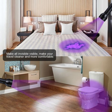 Détecteur d'urine d'animaux domestiques - Lampe torche UV portable pour chiens et chats - Détecteur d'urine sur tapis (1/5)