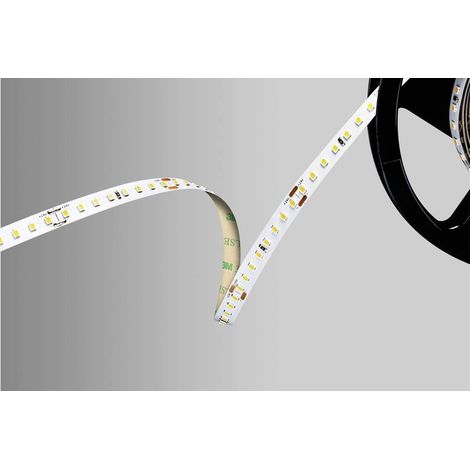 Barthelme 51542234 Cinta LED blanco frío 500 cm