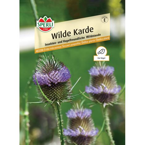Sperli Wilde Karde