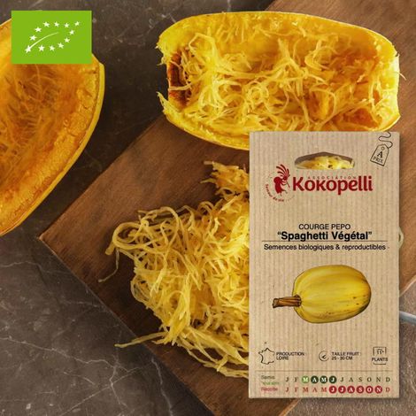 Courge Spaghetti Végétal- Graines bio à semer