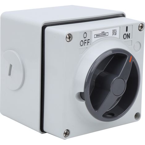 Wasserdichter Außenschalter mit Trennfunktion, staubdicht, Drehschalter mit Ein-/Aus-Anzeige, 250 V (4P63A) (1/5)