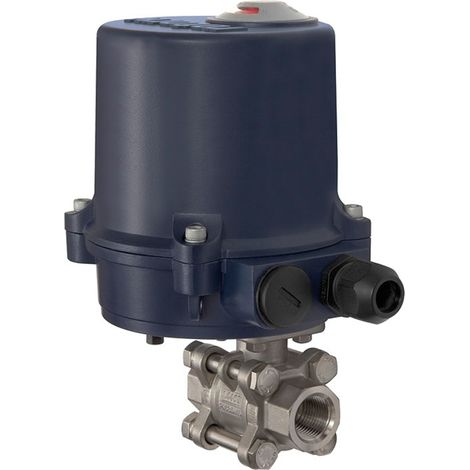 Riegler 2-Wege-ES-Kugelhahn, elekt. Stellantrieb, 230 V AC, 50 Hz, Rp 1/2 (1/3)