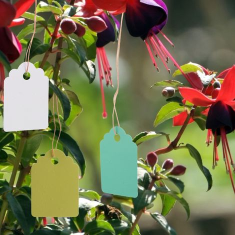 300 wiederverwendbare, wasserfeste PVC-Pflanzenetiketten, Hängeetiketten für Gartenpflanzen, Blumenmarkierer, 3,6 x 2,5 cm (1/5)