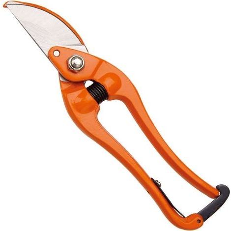 – Sécateur à main forgé 230 mm – Lame en acier pour coupe précise – Poignées ergonomiques pour confort – Modèle P3-23-F (1/2)