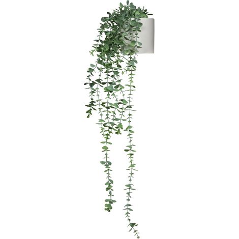 Plante artificielle EUCALYPTUS CLIMB vert / blanc hjh OFFICE (1/5)