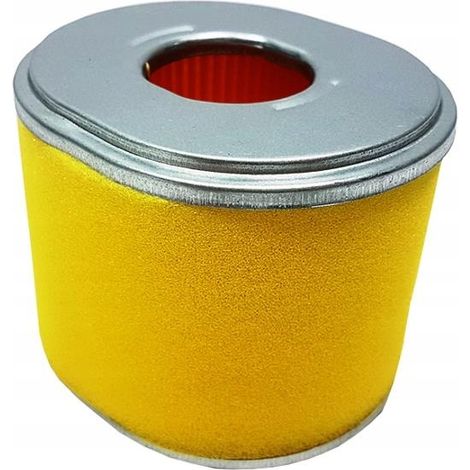Filtro aria motore da 6,5 CV (1/5)