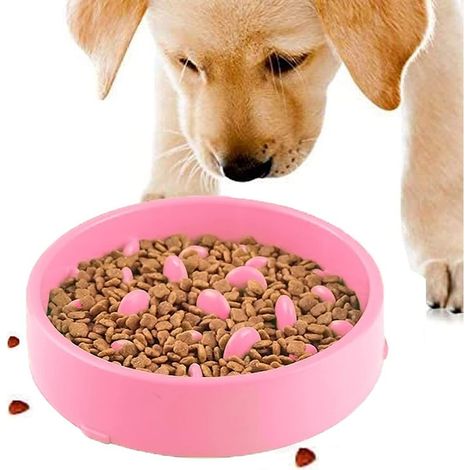 Gamelle d'alimentation Lente pour Chiens, Slow Feeding Conception Anti-dérapante Fun Interactive Nourrir Les Chats et Les Chiens pour Bol, Favorise Une Alimentation(Rose) (1/5)