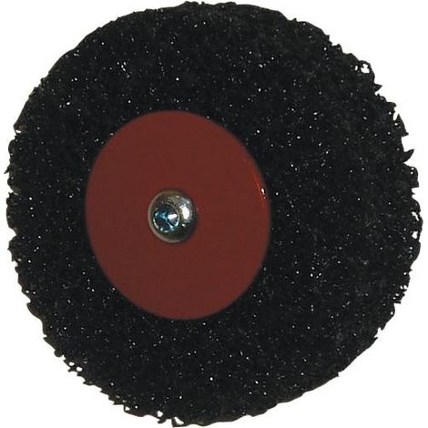 Disque de nettoyage 100 x 12 mm