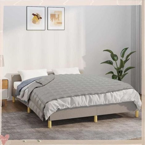 350720 Couverture lestée Gris 150x200 cm 7 kg Tissu (1/5)