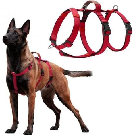 Harnais Anti Traction Anti-évasion pour Chien (1/5)