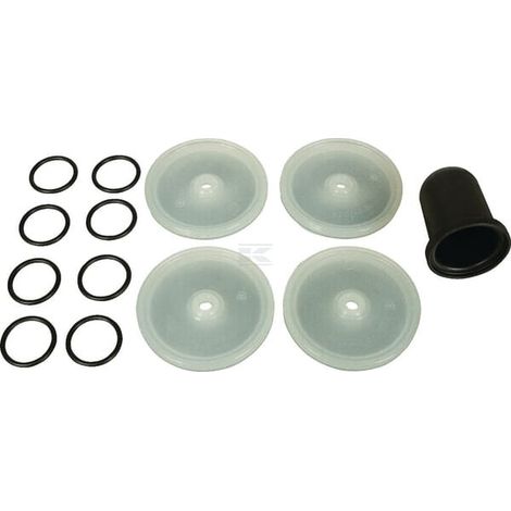 Disque de membranes BERTOLINI 289887973DS
