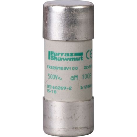 Cartouche fusible NFC 22x58mm cylindrique aM 100A sans voyant TeSys DF