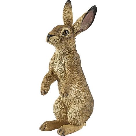 Stehender Hase