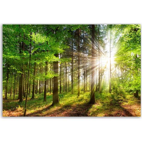 Tableau forêt verte baignée de lumière (1/5)