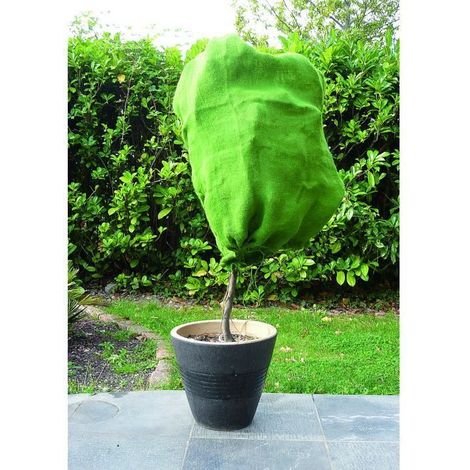 Vilmorin - Housse d'hivernage - Jute - Vert (1/2)