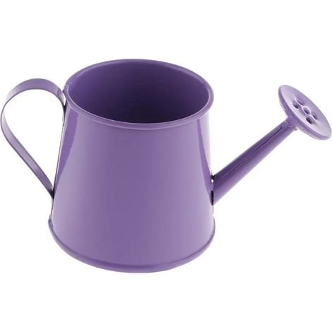 Arrosoirs dcoratifs pour jardin et maison violets (1/5)