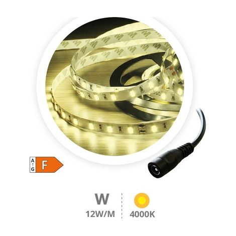 Rollo 5M LED SMD5630 (14.4W) 4000K-4500K IP20 24V GSC 204030001