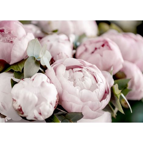 Tableau sur toile pivoine 30x45 cm - Impression sur Toile Murale Décorative - Image imprimée en HD sur Toile - Toile sur Châssis en Bois FSC - Fabriqué en France (1/5)