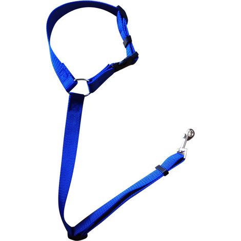 Filiyano-Corde de sécurité pour animaux de compagnie en voiture, anneau circulaire, ceinture de sécurité pour chien, sangle de remorquage pour siège (1/5)