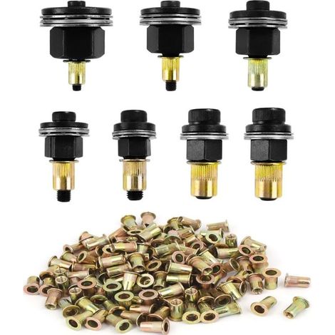 217 Pièces Écrous à Tête de Rivet à Main, Riveteuse Pneumatique Kit de Mandrin, Contient 210 écrous, Pince à Insert Fileté, pour Ensemble de Têtes pour Rivets M3 M4 M5 M6 M8 M10 M12 (1/5)