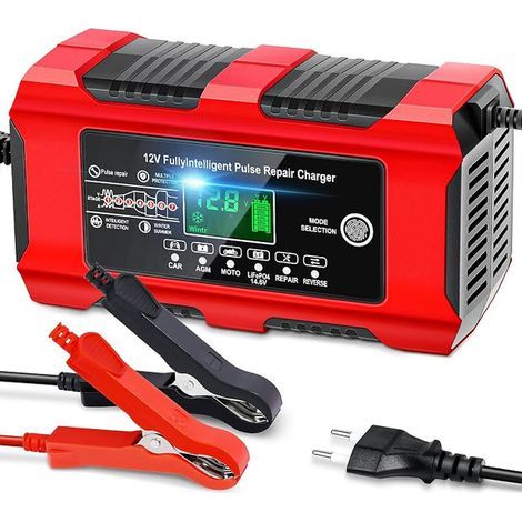 Car Battery Charger 12V LiFePO4 AGM Gel Wet (1/5)