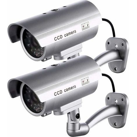 Lot de 2 caméras factices pour intérieur ou extérieur, en forme de sphère et LED clignotante RTGPT (argent) (1/4)