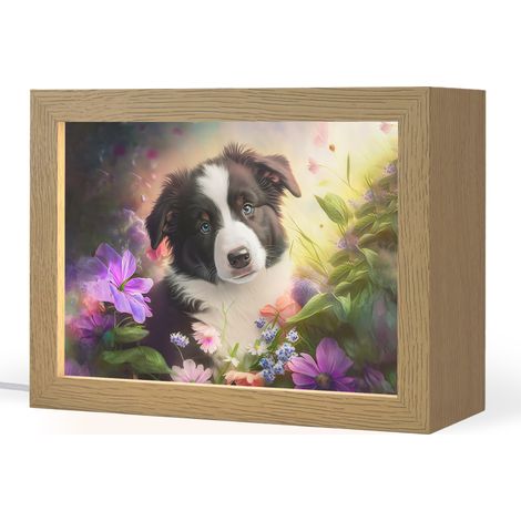 LUZ DE NOCHE INFANTIL Cachorro - Sol - Flores - Naturaleza - Border collie - Perro 20x15 cm