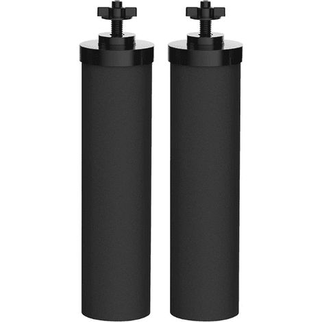 Lot de 2 cartouches filtrantes BB9-2 en carbone, filtration gravitaire antibactérienne, élimine chlore et métaux lourds (1/5)
