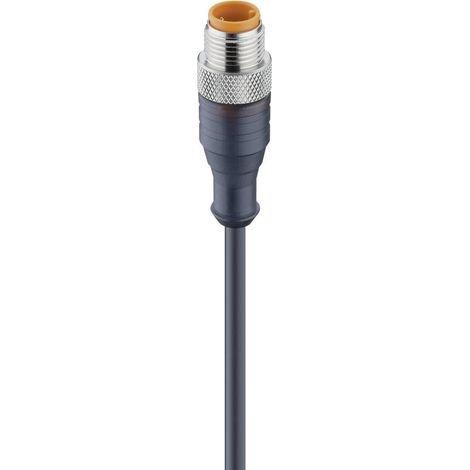 Lumberg Automation 11809-1 Connettore confezionato per sensore o attuatore M12 Spina dritta 2.00 m Numero di poli: 4 1