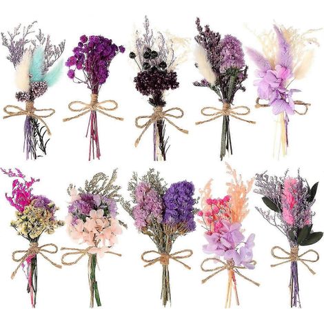 Sbsg 10 Pack Mini Bouquet Various Purple Dried Flower Combinations Including Real Natural Pampas Grass Forget Me Not Babys Breath Dry Wi (1/5)