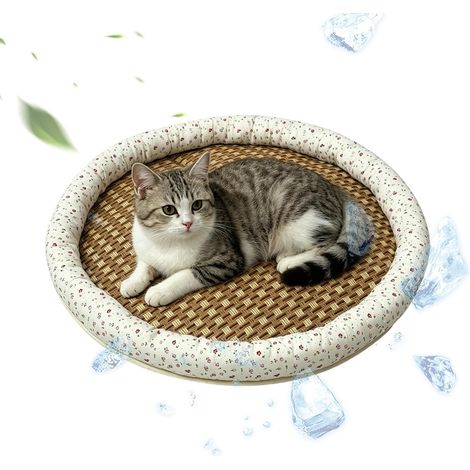Tapis Rafraîchissant Chat Rotin Respirant imperméable Lit d'Été pour Chien et Tapis d'Animaux Chiot, , Voyage, Balcon, Salon, Jardin, Terrasse, Intérieur, Extérieur (1/5)