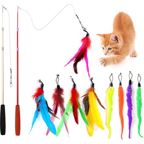 1 Canne à pêche pour chat, jouet interactif avec plumes et ficelle, accessoire d'exercice pour chaton et chat d'intérieur (1/5)