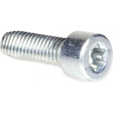 Vis Torx 27 M6 x 20 pour tronçonneuse Stihl MS171 MS181 MS211 (1/4)