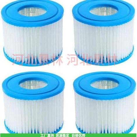 Amazon VI Type 90352E 58323 90352 58323 Inflatable Pool HEPA Filter Cartridge (1/4)