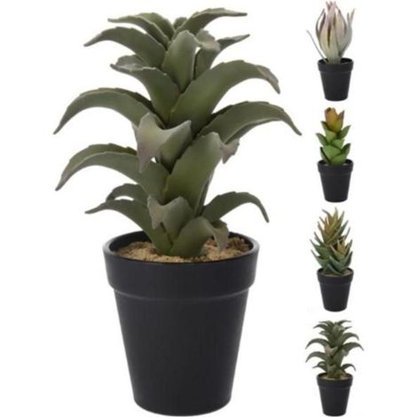IMPORTACION maceta cactus 26 cm surtidas , Maceta cactus 26 cm. surtidaVendido individualmenteIdeal para interiores y/o aire libre4 modelos surtidosTamaño: 25x11x11