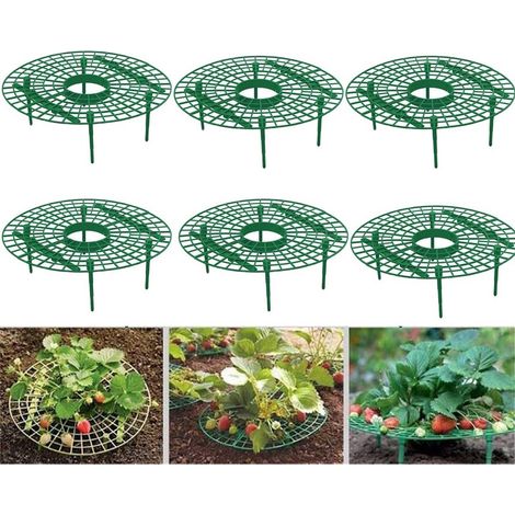 Lot de 6 supports ronds pour fraisiers en plastique vert kit de soutien pour plantes de jardin culture extérieure et maintien des fruits et tiges (1/5)