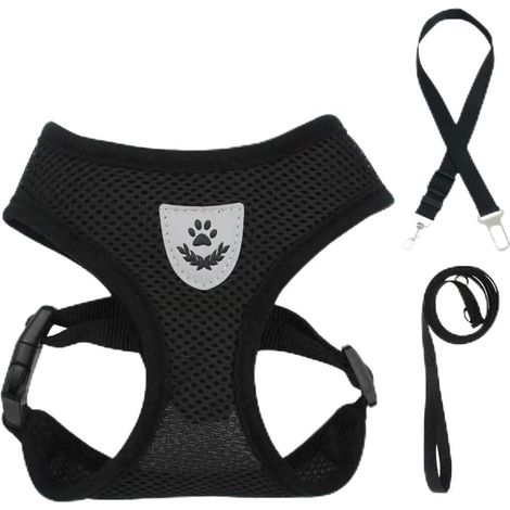 Harnais et Laisse pour Chat, Gilet Réglable Respirant avec Bandes Réfléchissantes pour Sécurité et Confort (1/5)