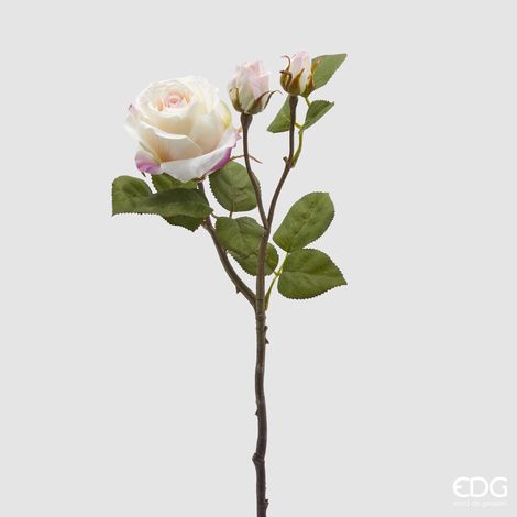 EDG Rosa Elis Rex Ramo x 3 H 48 (1/3)